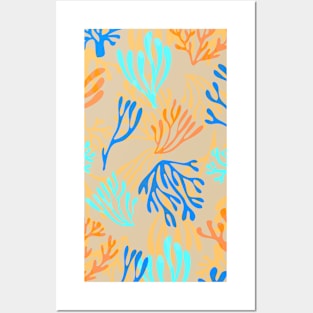 Soledad Coral Posters and Art